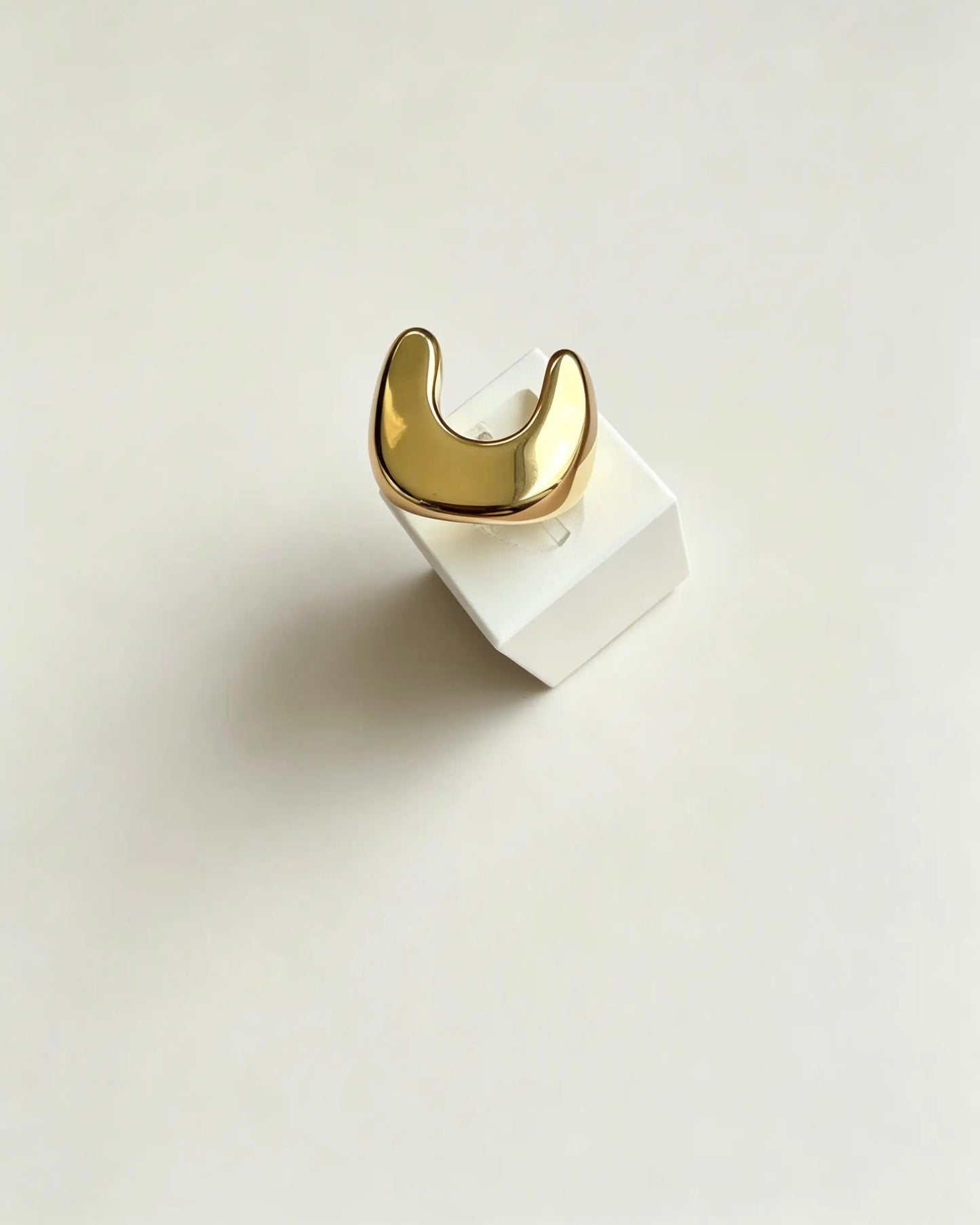 Anillo ROUGE · anillo de AMA, detalle 2